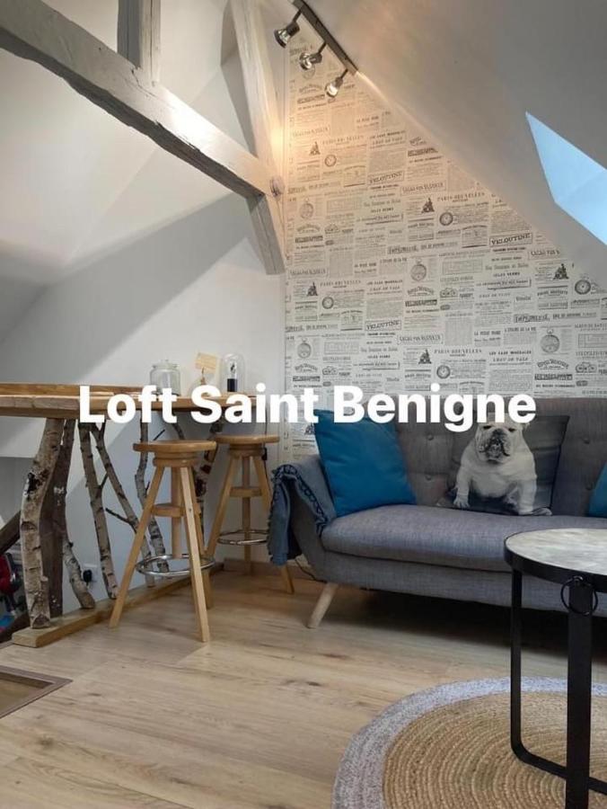 Appartements Atypiques Centre Historique Dijon Ngoại thất bức ảnh