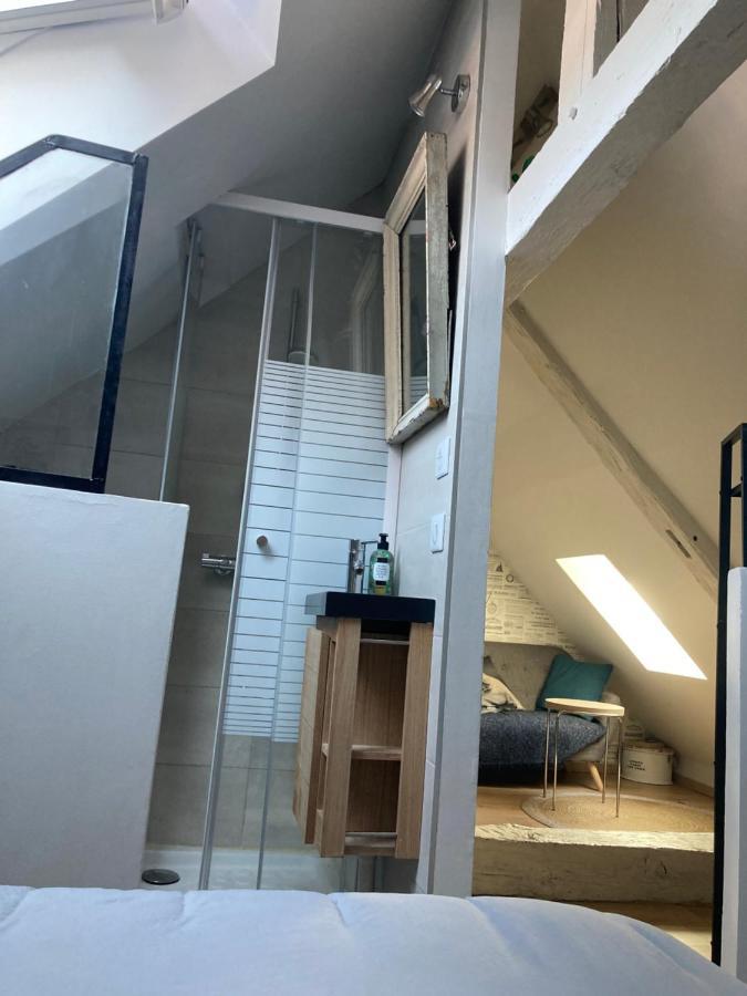 Appartements Atypiques Centre Historique Dijon Ngoại thất bức ảnh