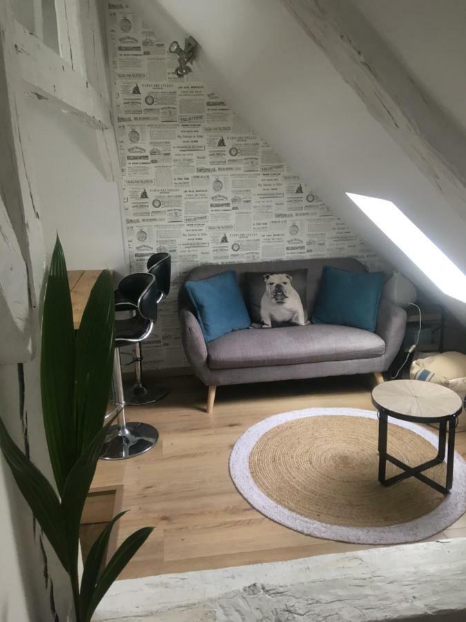 Appartements Atypiques Centre Historique Dijon Ngoại thất bức ảnh
