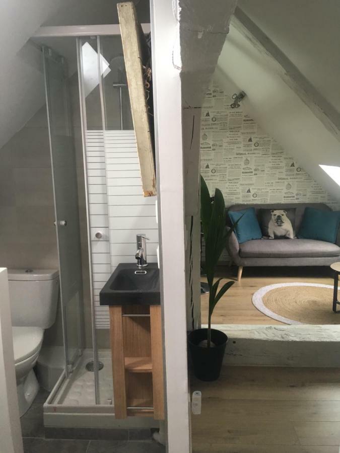 Appartements Atypiques Centre Historique Dijon Ngoại thất bức ảnh